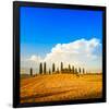 Tuscany Farmland&Cypress Trees-null-Framed Art Print