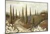 Tuscany Fields I-Lisa Audit-Mounted Giclee Print