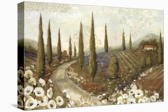 Tuscany Fields I-Lisa Audit-Stretched Canvas
