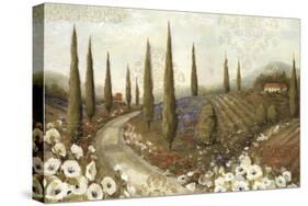 Tuscany Fields I-Lisa Audit-Stretched Canvas