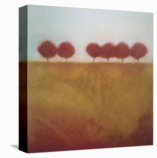 Tuscany Grove-David E^ Gordon-Stretched Canvas