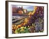 Tuscany Harvest-Clif Hadfield-Framed Art Print