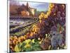 Tuscany Harvest-Clif Hadfield-Mounted Art Print