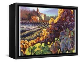 Tuscany Harvest-Clif Hadfield-Framed Stretched Canvas