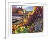 Tuscany Harvest-Clif Hadfield-Framed Art Print