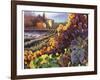 Tuscany Harvest-Clif Hadfield-Framed Art Print