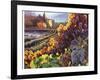 Tuscany Harvest-Clif Hadfield-Framed Art Print