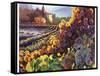 Tuscany Harvest-Clif Hadfield-Framed Stretched Canvas