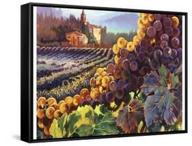 Tuscany Harvest-Clif Hadfield-Framed Stretched Canvas