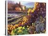 Tuscany Harvest-Clif Hadfield-Stretched Canvas