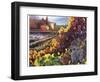 Tuscany Harvest-Clif Hadfield-Framed Art Print