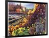 Tuscany Harvest-Clif Hadfield-Framed Art Print