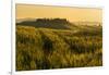Tuscany hills at sunrise, Val d'Orcia, Tuscany,Italy.-ClickAlps-Framed Photographic Print