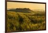 Tuscany hills at sunrise, Val d'Orcia, Tuscany,Italy.-ClickAlps-Framed Photographic Print