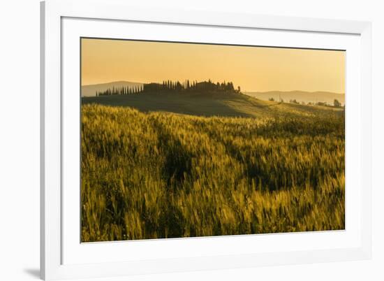 Tuscany hills at sunrise, Val d'Orcia, Tuscany,Italy.-ClickAlps-Framed Photographic Print