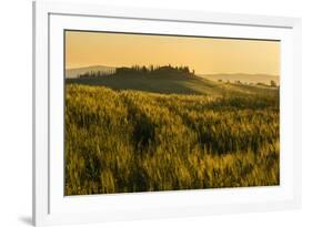 Tuscany hills at sunrise, Val d'Orcia, Tuscany,Italy.-ClickAlps-Framed Photographic Print