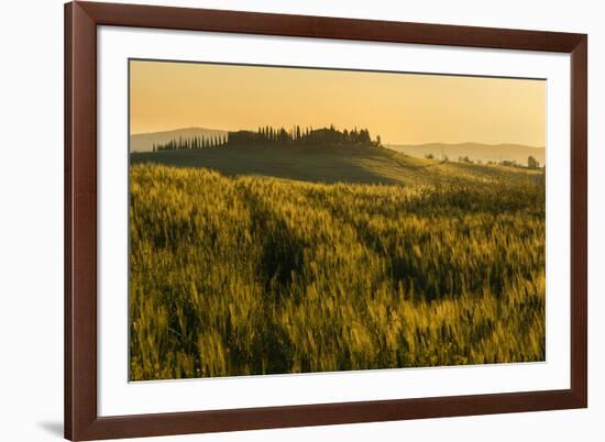 Tuscany hills at sunrise, Val d'Orcia, Tuscany,Italy.-ClickAlps-Framed Photographic Print