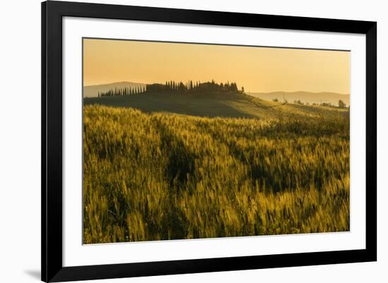 Tuscany hills at sunrise, Val d'Orcia, Tuscany,Italy.-ClickAlps-Framed Photographic Print