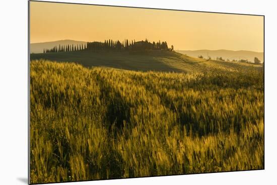 Tuscany hills at sunrise, Val d'Orcia, Tuscany,Italy.-ClickAlps-Mounted Photographic Print