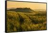 Tuscany hills at sunrise, Val d'Orcia, Tuscany,Italy.-ClickAlps-Framed Stretched Canvas