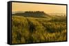 Tuscany hills at sunrise, Val d'Orcia, Tuscany,Italy.-ClickAlps-Framed Stretched Canvas