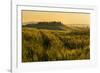 Tuscany hills at sunrise, Val d'Orcia, Tuscany,Italy.-ClickAlps-Framed Photographic Print