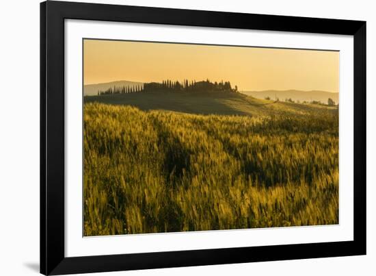 Tuscany hills at sunrise, Val d'Orcia, Tuscany,Italy.-ClickAlps-Framed Photographic Print