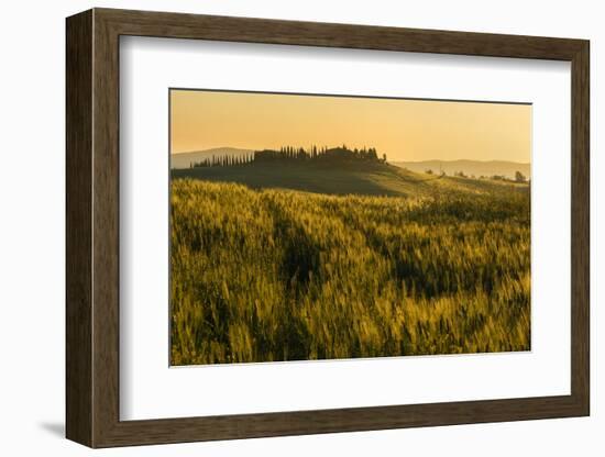 Tuscany hills at sunrise, Val d'Orcia, Tuscany,Italy.-ClickAlps-Framed Photographic Print