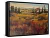 Tuscany I-Tim O'toole-Framed Stretched Canvas