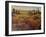 Tuscany I-Tim O'toole-Framed Art Print