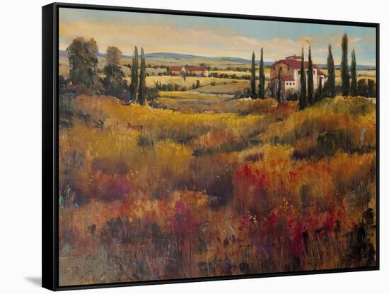 Tuscany I-Tim O'toole-Framed Stretched Canvas