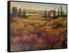 Tuscany I-Tim O'toole-Framed Stretched Canvas