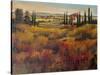 Tuscany I-Tim O'toole-Stretched Canvas