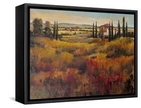 Tuscany I-Tim O'toole-Framed Stretched Canvas