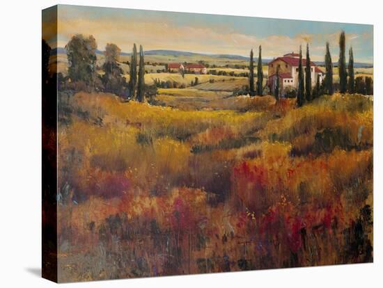 Tuscany I-Tim O'toole-Stretched Canvas