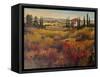 Tuscany I-Tim O'toole-Framed Stretched Canvas