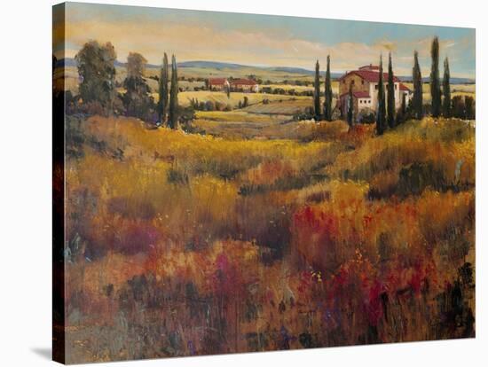 Tuscany I-Tim O'toole-Stretched Canvas