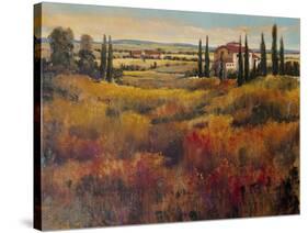 Tuscany I-Tim O'toole-Stretched Canvas