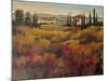 Tuscany I-Tim O'toole-Mounted Art Print