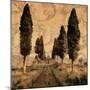 Tuscany I-Colin Floyd-Mounted Art Print