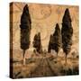 Tuscany I-Colin Floyd-Stretched Canvas