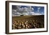 Tuscany II-Maciej Duczynski-Framed Photographic Print