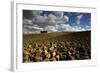 Tuscany II-Maciej Duczynski-Framed Photographic Print