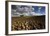 Tuscany II-Maciej Duczynski-Framed Photographic Print