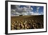 Tuscany II-Maciej Duczynski-Framed Photographic Print