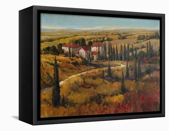 Tuscany II-Tim O'toole-Framed Stretched Canvas