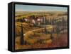 Tuscany II-Tim O'toole-Framed Stretched Canvas