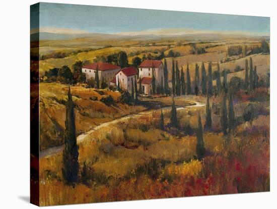 Tuscany II-Tim O'toole-Stretched Canvas