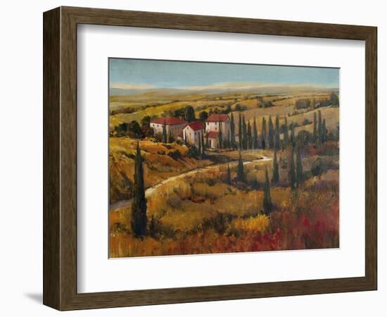 Tuscany II-Tim O'toole-Framed Art Print