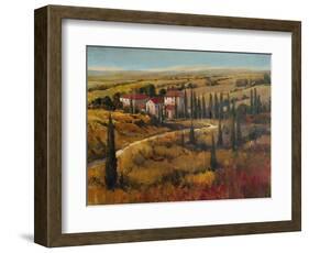 Tuscany II-Tim O'toole-Framed Art Print